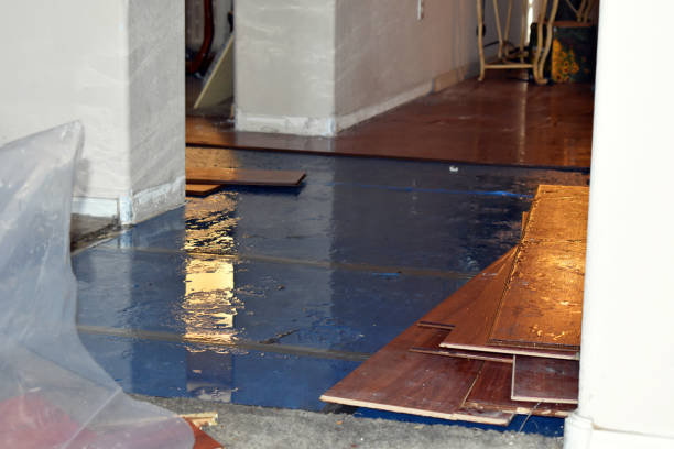 Professional Water Extraction technician working in Sand Creek, MI